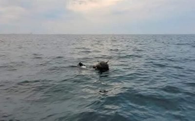 Ministerul Apărării Naționale din România respinge categoric afirmațiile Rusiei privind proveniența minelor din Marea Neagră, subliniind că aceste incidente au fost generate exclusiv de acțiunile armatei ruse într-un stat suveran și independent, Ucraina