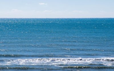 O posibilă criză climatică în prag de val: cum modificările Curentului Golfului pot prefața distrugerea unui sistem oceanic esențial În ultimele luni, ştirile despre schimbări climatice au fost din ce în ce mai alarmante, iar cea mai recentă descoperire atrage atenția asupra unui mecanism fundamental al regulării climatului mondial: Circulația Meridională Atlantică de Răsturnare (AMOC)