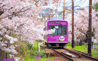 Kyoto, unul dintre cele mai pitorești și culturale orașe ale Japoniei, a luat o decizie importantă în lupta cu aglomerația turistică: de la începutul lunii martie, taxa de cazare a fost majorată semnificativ pentru vizitatori, într-un efort de a proteja patrimoniul și infrastructura orașului