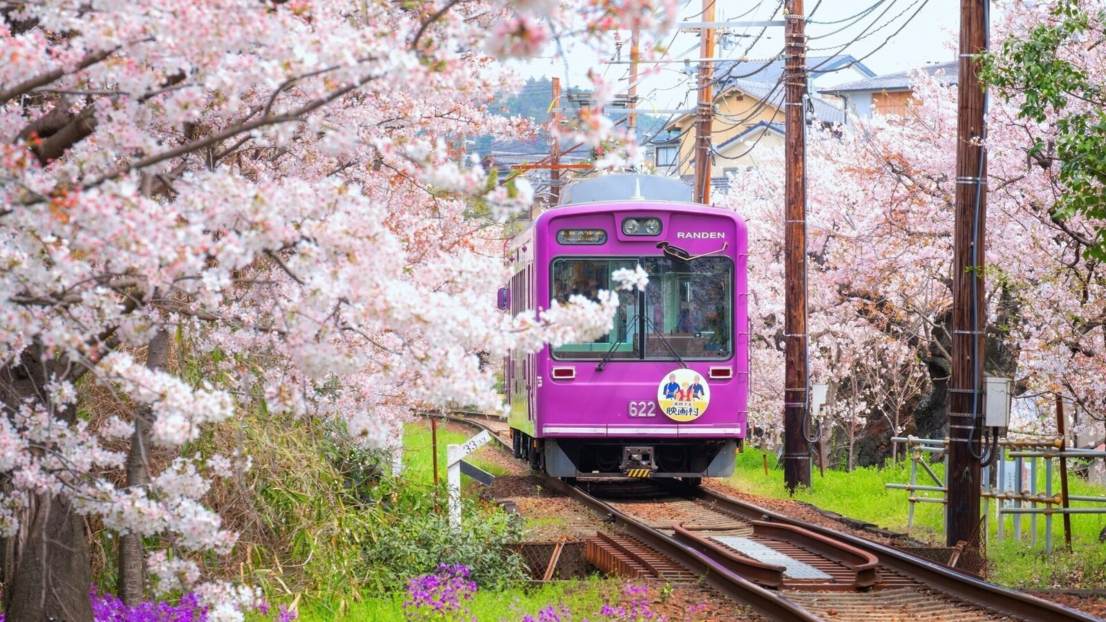 Kyoto, unul dintre cele mai pitorești și culturale orașe ale Japoniei, a luat o decizie importantă în lupta cu aglomerația turistică: de la începutul lunii martie, taxa de cazare a fost majorată semnificativ pentru vizitatori, într-un efort de a proteja patrimoniul și infrastructura orașului
