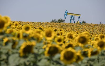 OMV Petrom, cel mai mare producător de petrol și gaze din Europa de Sud-Est, anunță pentru acest an un buget anticipând un profit net de 2,84 miliarde de lei, o valoare ușor mai mică față de cea înregistrată în anul precedent