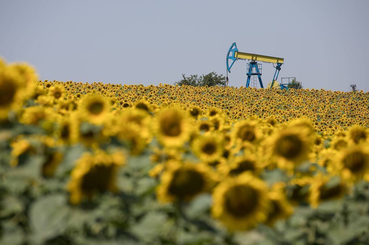 OMV Petrom, cel mai mare producător de petrol și gaze din Europa de Sud-Est, anunță pentru acest an un buget anticipând un profit net de 2,84 miliarde de lei, o valoare ușor mai mică față de cea înregistrată în anul precedent