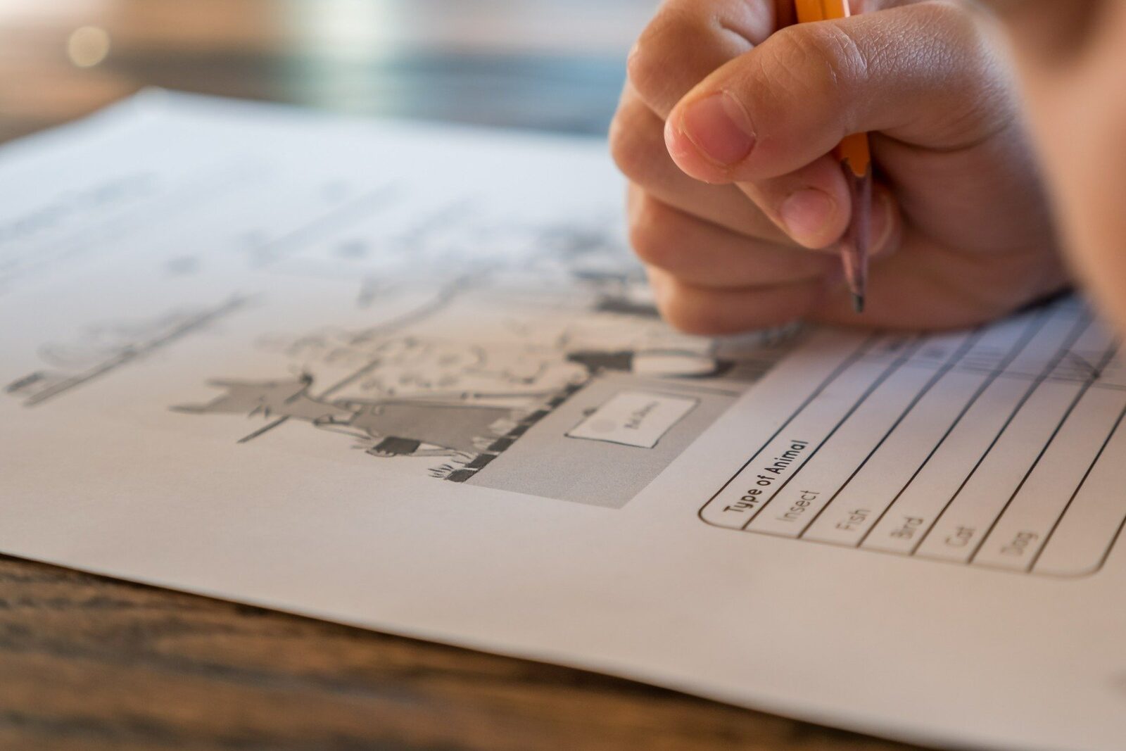 Luni, 16 martie, începe un important test de pregătire pentru elevii care urmează să susțină Evaluarea Națională: simularea acesteia