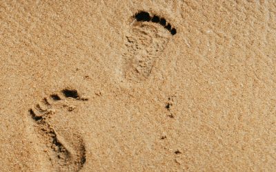 Reformă în sistemul de licitații pentru plaje: transparență și criterii noi atrag multiple participări, dar provoacă nemulțumiri Un record impresionant de participare la licitațiile pentru administrarea plajelor din România a stârnit în ultima vreme discuții aprinse în mediul politic și în sectorul privat