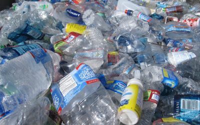 Inovație revoluționară: plasticul devine medicament, o soluție pentru viitorul sănătății și mediului O nouă descoperire promite să transforme modul în care privim atât gestionarea deșeurilor din plastic, cât și producția de medicamente esențiale