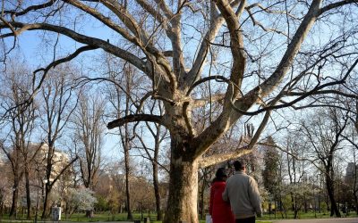 Vremea prinde gust de primăvară în acest weekend, însă previziunile meteorologice anunță o schimbare bruscă a condițiilor atmosferice încă din următoarele zile