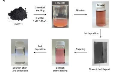 Un nou progres în reciclarea metalelor critice din baterii, alimentat de un ingredient surprinzător – strugurii – aduce speranță pentru reducerea dependenței de resursele minerale rare și pentru eficientizarea proceselor ecologice