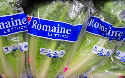 Comisia Europeană a lansat oficial platforma inovatoare de inteligență artificială, TraceMap, o tehnologie menită să revoluționeze modul în care Uniunea Europeană monitorizează și combate fraudele alimentare, contaminările și focarele de toxiinfecție alimentară