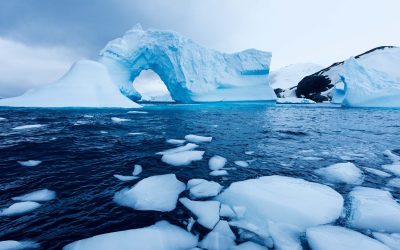 O relicvă glaciară de secole, pe cale să dispară: descoperire care poate schimba înțelegerea schimbărilor climatice Într-un peisaj de o frumusețe sălbatică de pe falezele din Alaska, cercetătorii au făcut o descoperire majoră ce ar putea redefini înțelegerea istoriei climatice a planetei noastre