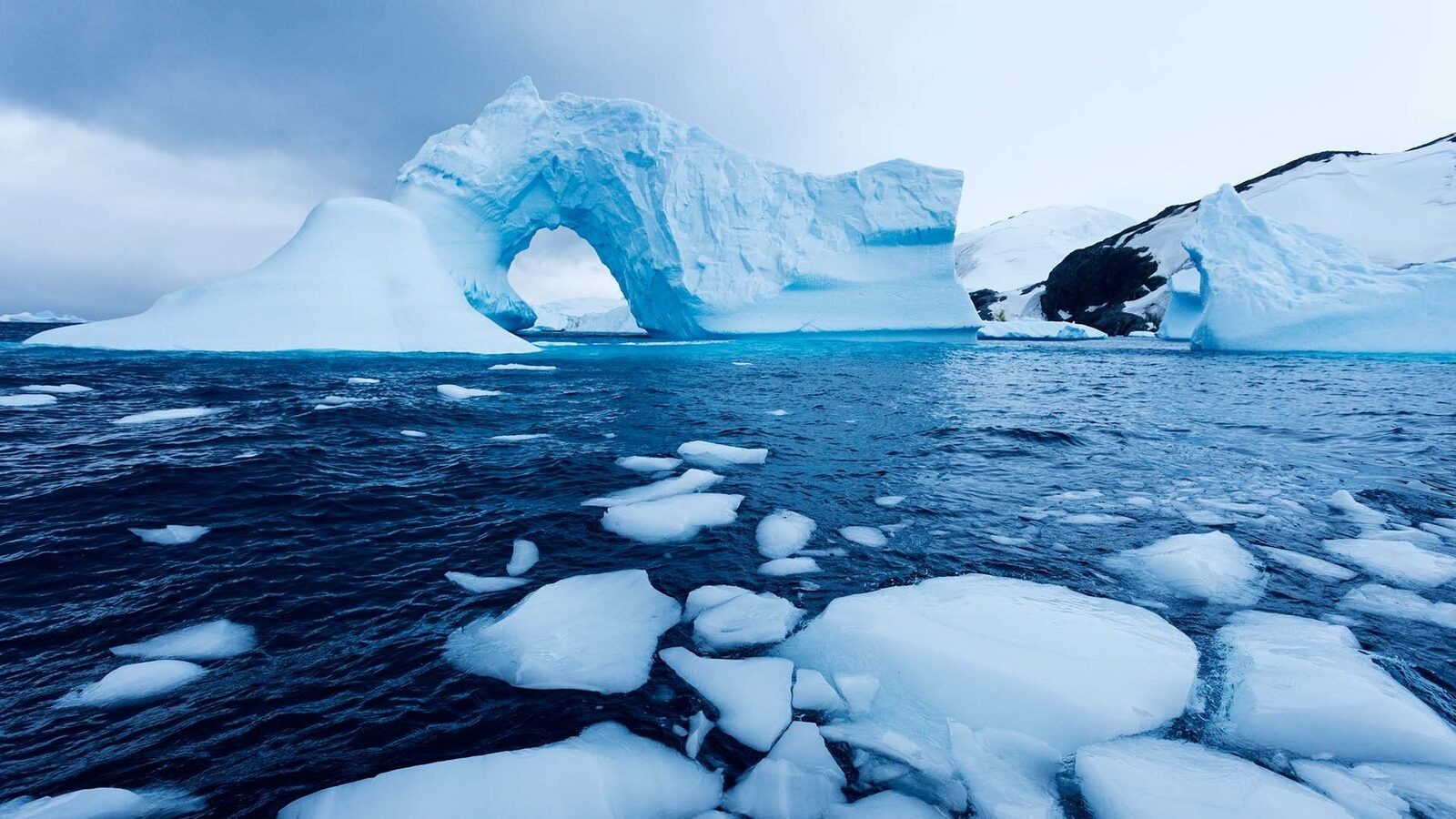 O relicvă glaciară de secole, pe cale să dispară: descoperire care poate schimba înțelegerea schimbărilor climatice Într-un peisaj de o frumusețe sălbatică de pe falezele din Alaska, cercetătorii au făcut o descoperire majoră ce ar putea redefini înțelegerea istoriei climatice a planetei noastre