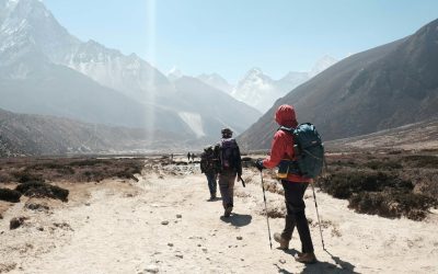Aventura montană devine și mai interesantă: un provocare inedită lansată de ghizii de la Master Adventure în munții din apropierea Vadu Crișului Pasionații de aventură și drumeție din România au parte de o surpriză inedită de la ghizii de la Master Adventure, una dintre cele mai populare companii de turism activ din zona Vadu Crișului