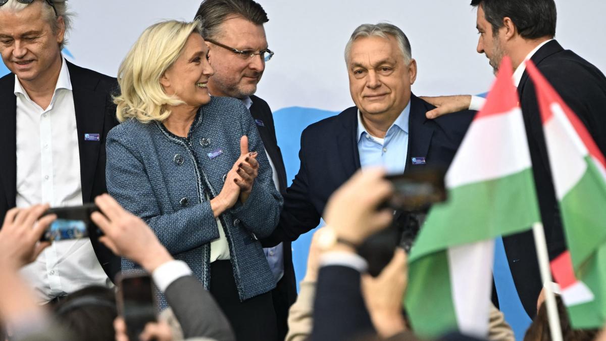 Liderii extremiști europeni laudă lui Orban: „Un leu pe un continent de oi”