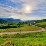 Femeile conduc una din patru întreprinderi din Toscana, iar străinii domnesc în peisajul antreprenorial al regiunii Regiunea Toscana a Italiei, cunoscută pentru peisajele sale idilice și tradițiile viticole, își confirmă, din nou, statutul de lider în diversitatea și dinamismul mediului economic local