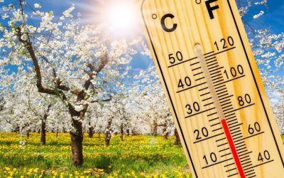 Vremea primăvăratică continuă să ne surprindă cu temperaturi plăcute și o ușoară încălzire, în ciuda semnelor de instabilitate atmosferică