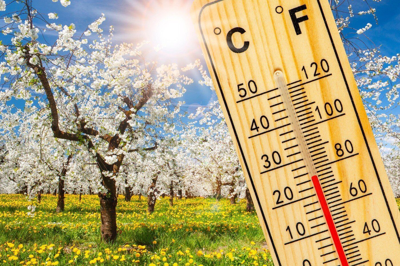 Vremea primăvăratică continuă să ne surprindă cu temperaturi plăcute și o ușoară încălzire, în ciuda semnelor de instabilitate atmosferică