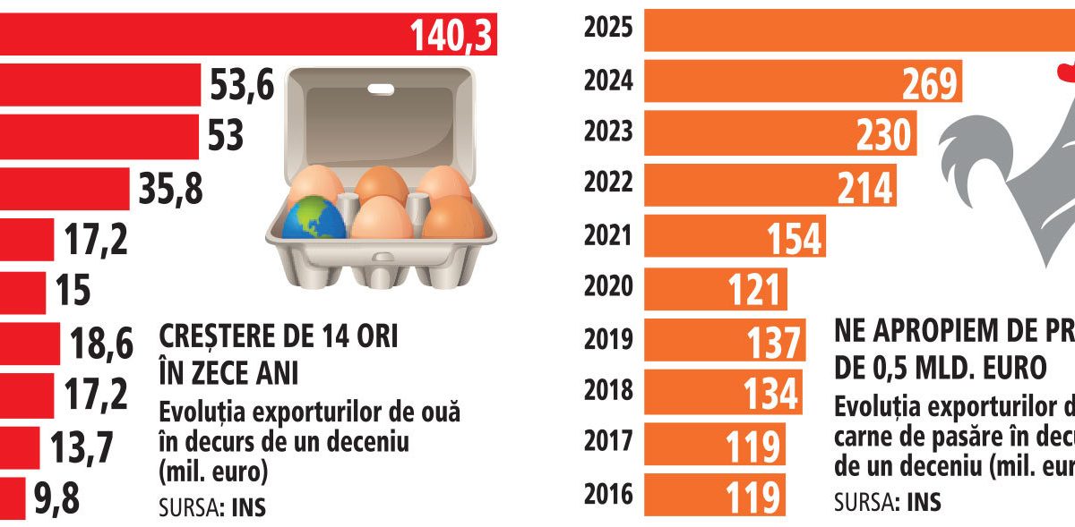 România: Ferme de păsări de sute de milioane € și exporturi record