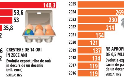 România: Ferme de păsări de sute de milioane € și exporturi record
