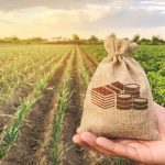 Străinii, marii beneficiari ai subvențiilor agricole: Mateiu și Anghel, singurii români în top