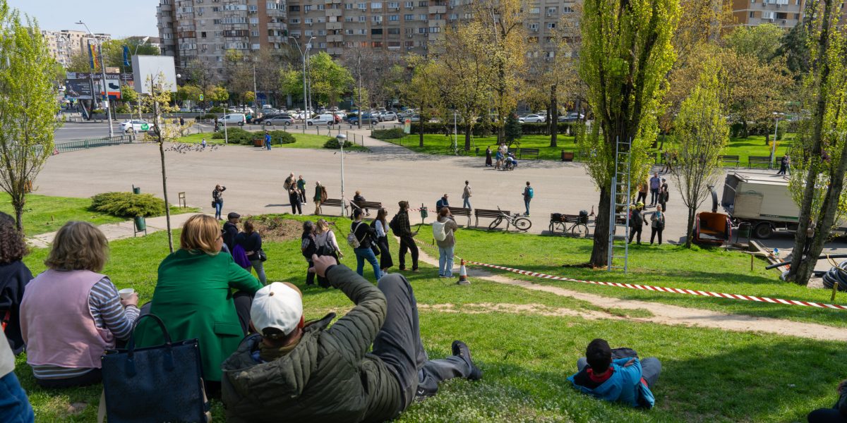 Arborii din Parcul Tineretului, în pericol: intervenții salvatoare pentru plopi