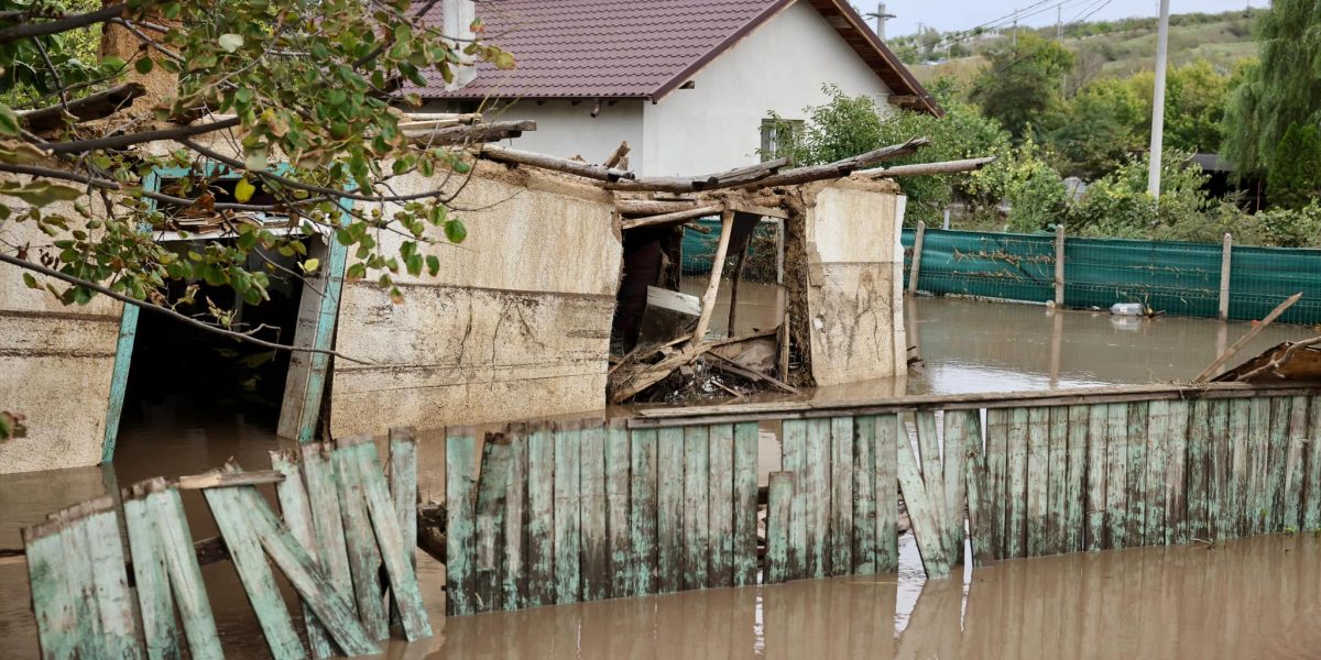 Asigurările PAD au crescut cu aproape 5% în martie: Ce se întâmplă în România