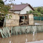 Asigurările PAD au crescut cu aproape 5% în martie: Ce se întâmplă în România