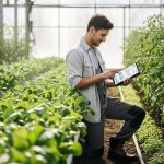 Guvernul, la raport: noi reguli pentru sustenabilitatea fermelor din România