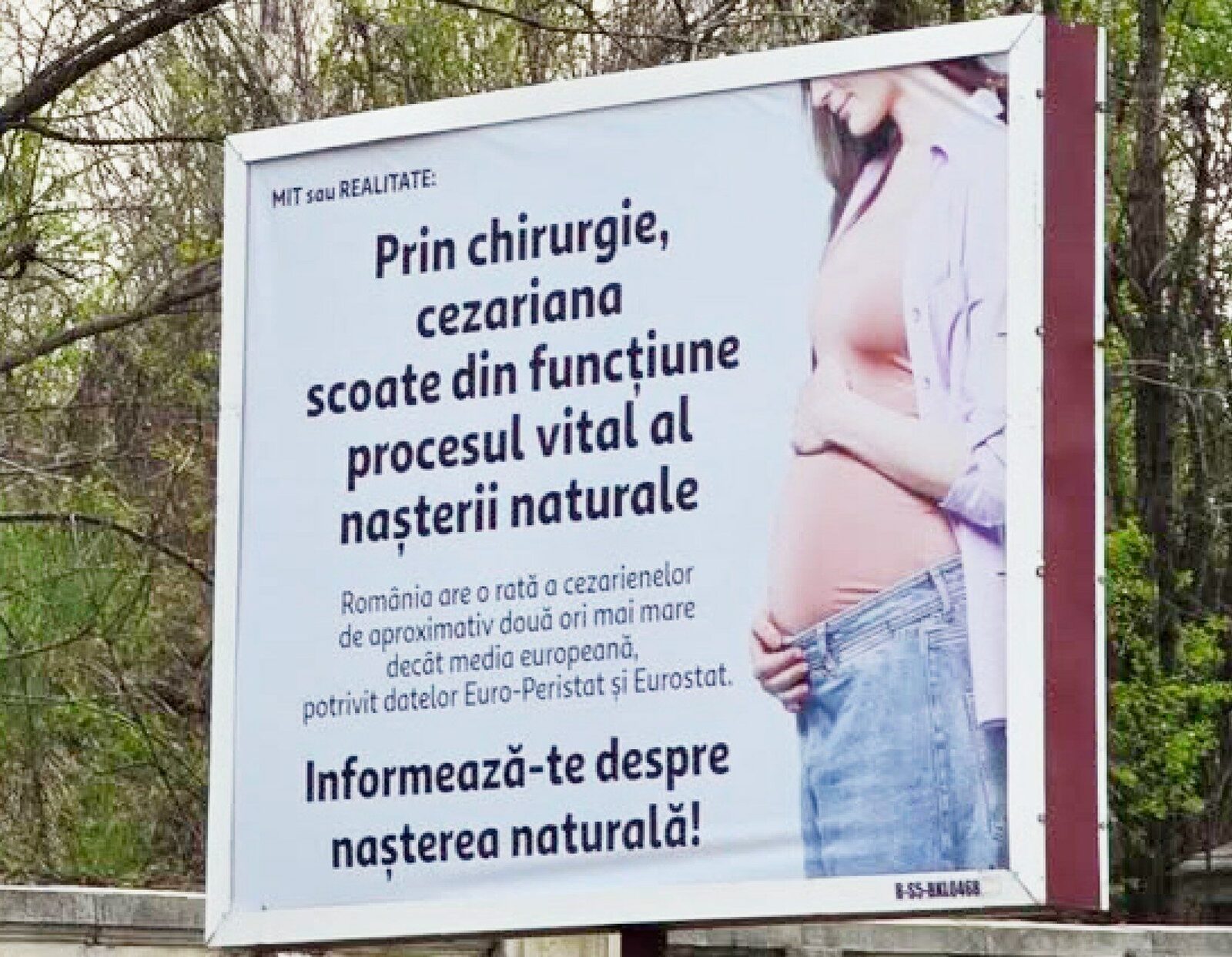 Cynthia Păun, scandal cu panourile: „Așa ceva în 2026?” Cere intervenție