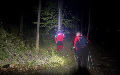 Bărbat dispărut în Bacău: Polițiștii, mobilizare de amploare pentru căutări