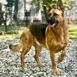 Vreme perfectă de duminică: Ce fac românii azi, departe de agitația din București?