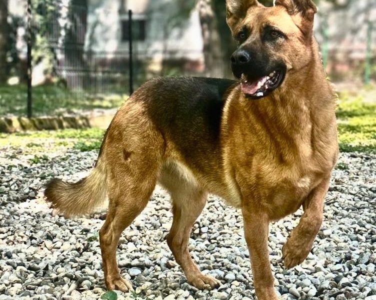 Vreme perfectă de duminică: Ce fac românii azi, departe de agitația din București?