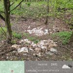 Vaslui: Pui de găină abandonați în pădure. Autoritățile au deschis o anchetă