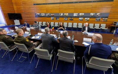 Oana Țoiu, discuții cu oficialul SUA despre drona rusească: „Parteneriat esențial”