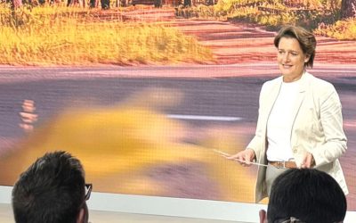 România, blocată-n crize: Ungaria, cu BMW și BYD, Dacia, în Turcia, nu Mioveni