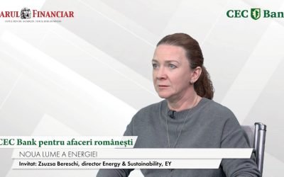 CEC Bank, un sprijin pentru afacerile românești: Zsuzsa Bereschi despre resurse și viitor