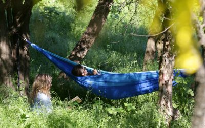 Olimpiada „Natura dintre Ape”, inițiativă educațională în domeniul protecției mediului, trece de la nivel regional la cel național, încheind astfel a treia ediție în București și Ilfov