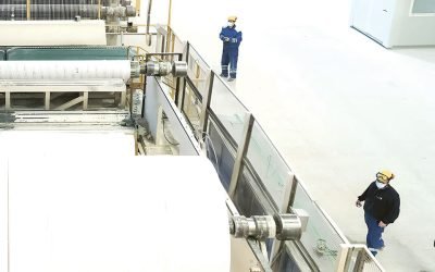 Regina investește 10 milioane euro în România: Producția de hârtie igienică se extinde