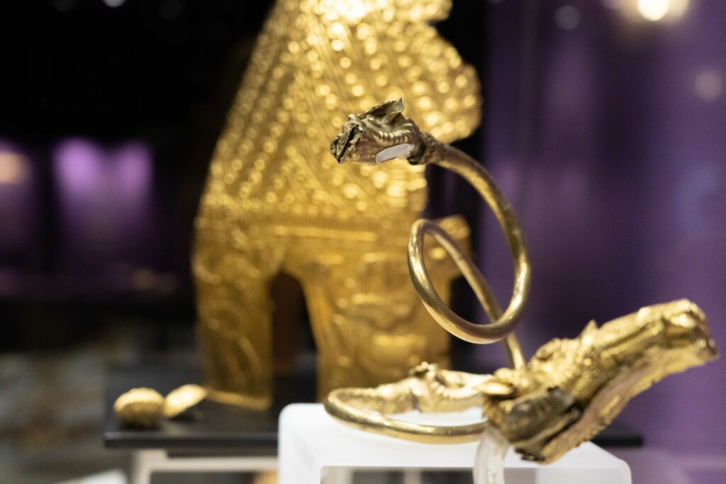 Jaful Tezaurului Dacic: Olanda cere 5,5 ani de pușcărie pentru hoți, mama șocată