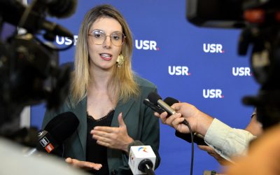 Diana Buzoianu: Ordonanța care pedepsește drastic tăierea copacilor