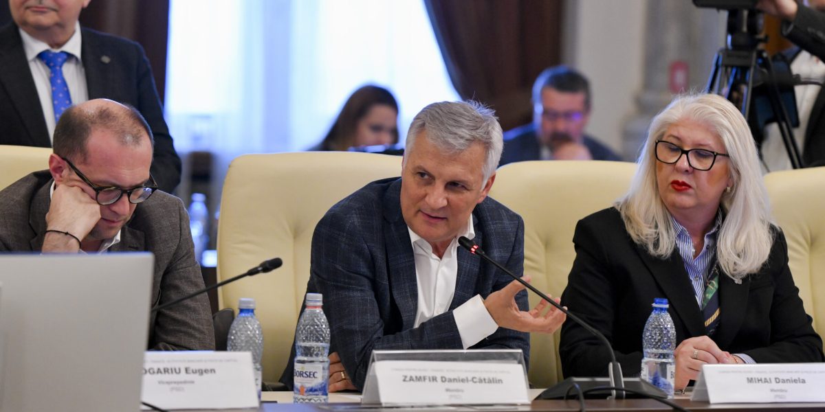 Lider PSD pornește „ofensiva” în Senat: Profitul statului, pe tapet