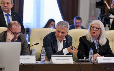 Lider PSD pornește „ofensiva” în Senat: Profitul statului, pe tapet