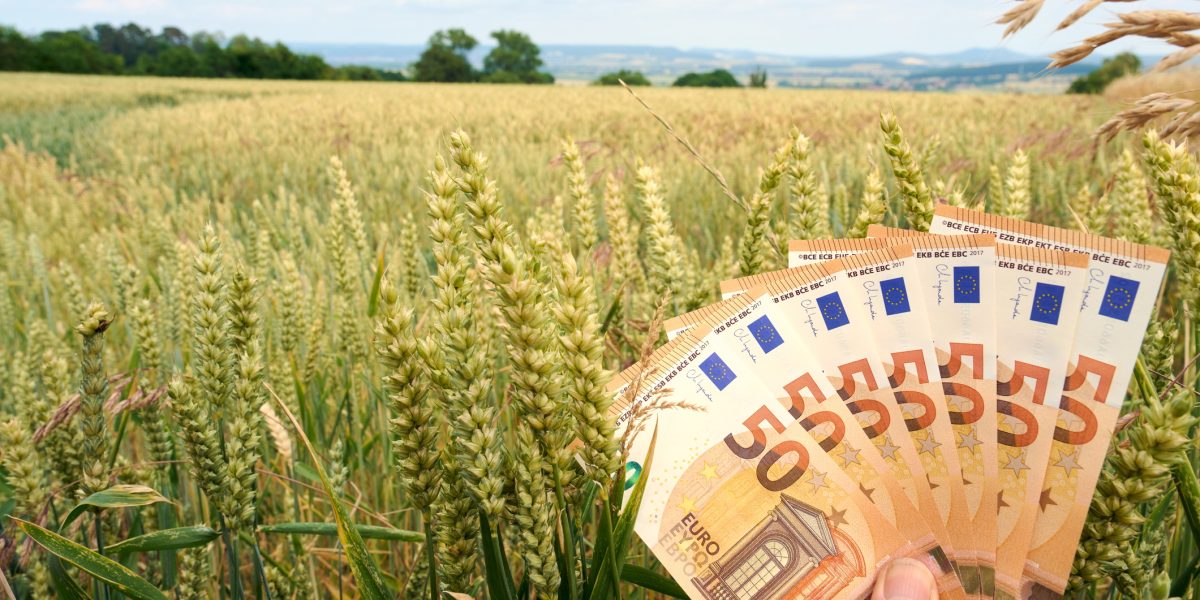 Verificare prin satelit: Fermierii pierd bani de la stat