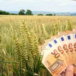 Verificare prin satelit: Fermierii pierd bani de la stat