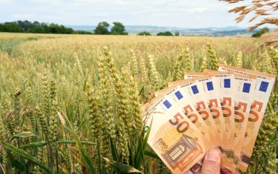 Verificare prin satelit: Fermierii pierd bani de la stat