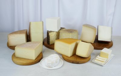 România, o premieră: Prima selecție de brânzeturi maturate, expertizată!