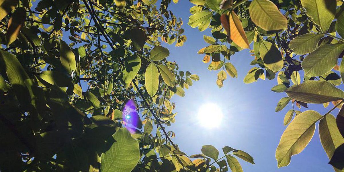 Minivacanța de 1 Mai 2026: Zile libere pentru angajați și revenirea elevilor