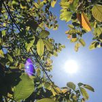 Minivacanța de 1 Mai 2026: Zile libere pentru angajați și revenirea elevilor