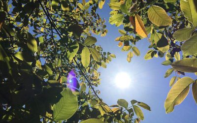 Minivacanța de 1 Mai 2026: Zile libere pentru angajați și revenirea elevilor