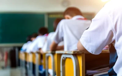 Aproape 50 de opere din literaturi română și universală trebuie să fie studiate de elevi pentru susținerea Bacalaureatului din 2026, conform noii programa oficiale