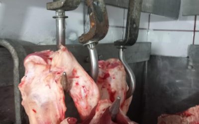 Amenzi de 3,8 milioane de lei pentru operatorii economici: ANPC a verificat peste 1.000 de locații București – Autoritatea Națională pentru Protecția Consumatorilor (ANPC) a desfășurat o serie amplă de controale, vizând peste 1.000 de operatori economici din diverse sectoare