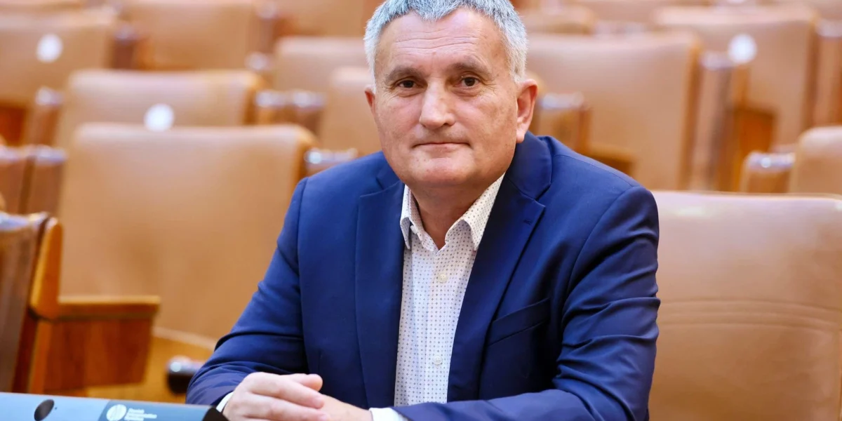 Deputat PNL, chemat la mobilizare: PSD vrea să dărâme Guvernul? Ce se întâmplă cu rezerviștii?